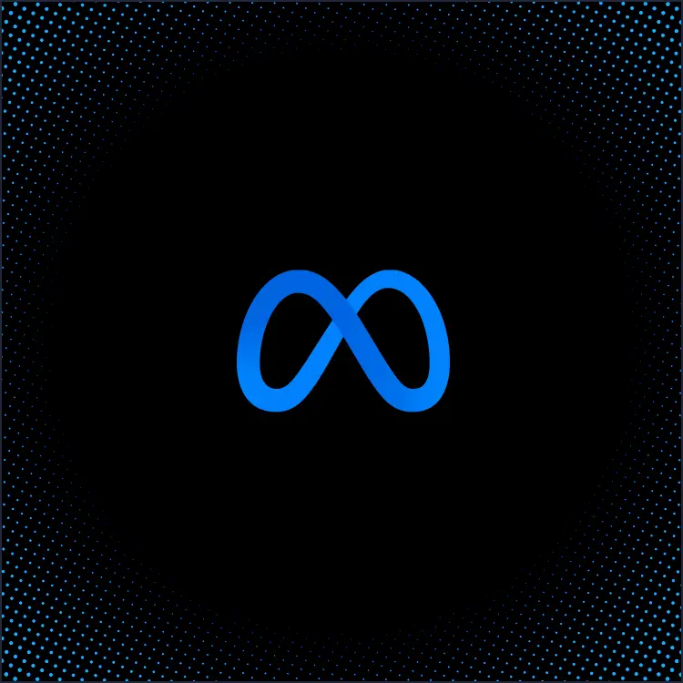 Llama 3.2 11B Vision Instruct visualization